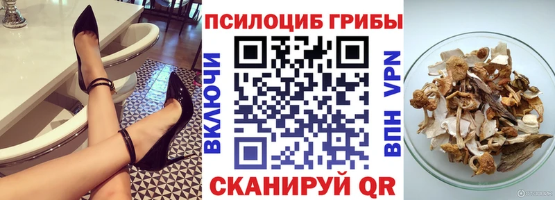 Псилоцибиновые грибы ЛСД  закладка  mega tor  Волгодонск 