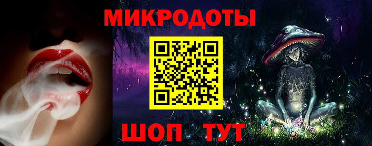 Галлюциногенные грибы Psilocybine cubensis  Волгодонск 